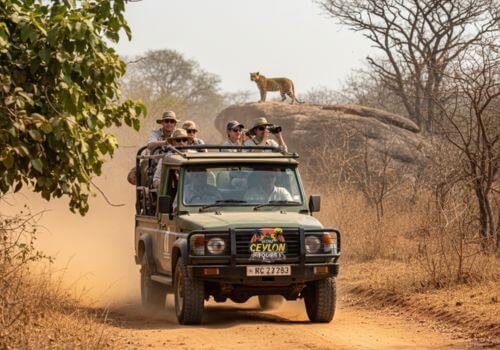 Discover Sri Lankas ancient kingdoms with Wow Ceylon Tours, visiting UNESCO sites like Sigiriya, Anuradhapura, and Polonnaruwa